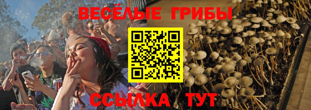 Псилоцибиновые грибы мицелий  Вход с VPN  Гусь-Хрустальный 